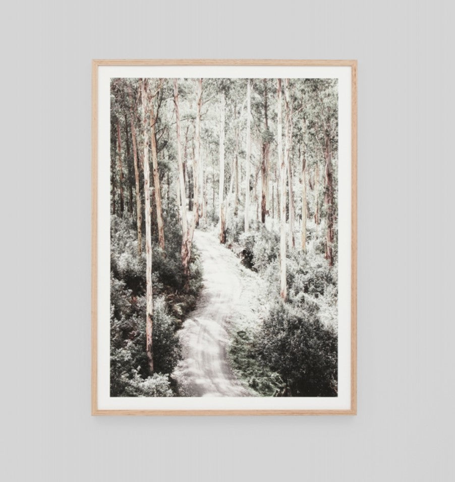 Eucalyptus Trail Bushland | Framed Art