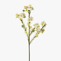 Wax Flower | 57cm