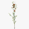 Grevillea Spray | Orange