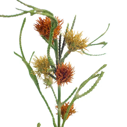Grevillea Spray | Orange