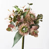 Protea Hybrid Mix Bouquet