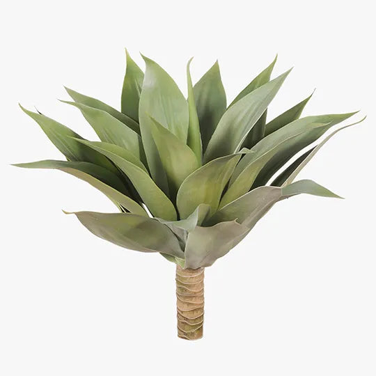 Agave Green 48x65cm