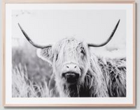 Highland Bovine Grey 80x100cm - Whatever Mudgee Gifts & Homewares