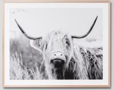Highland Bovine Grey 80x100cm - Whatever Mudgee Gifts & Homewares