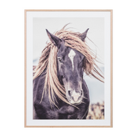 Lone Mustang Framed Print - Whatever Mudgee Gifts & Homewares
