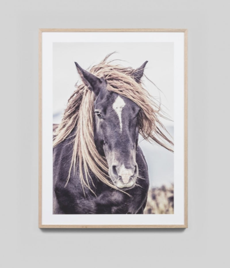 Lone Mustang | Framed Print