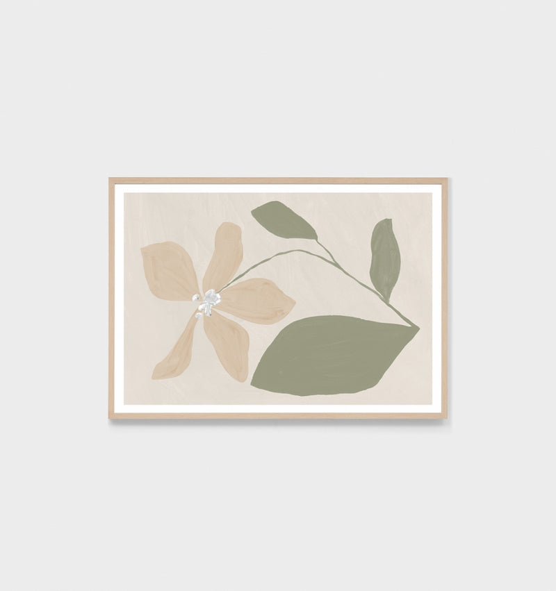 Modern Bloom Sage | Framed Print