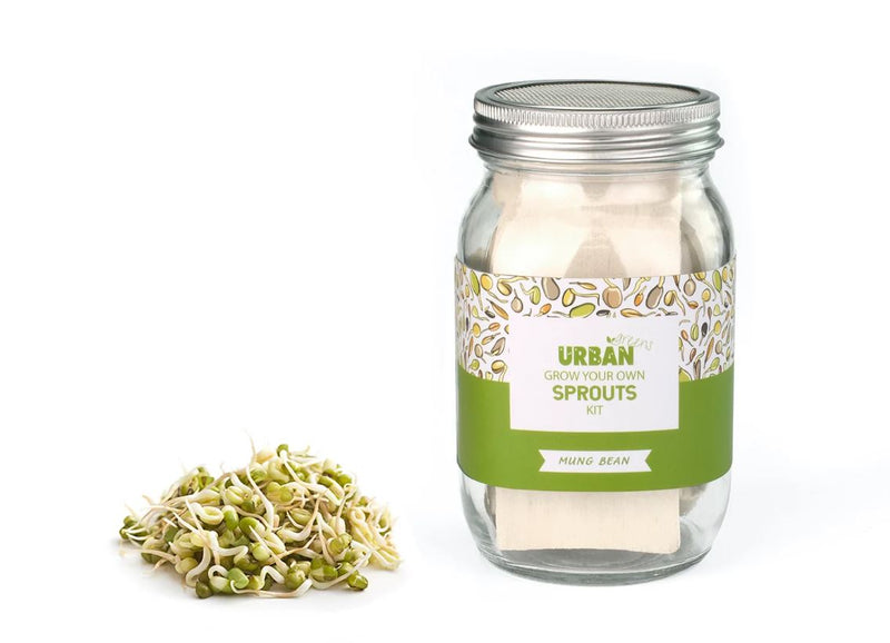 Sprout Jar Grow Kit