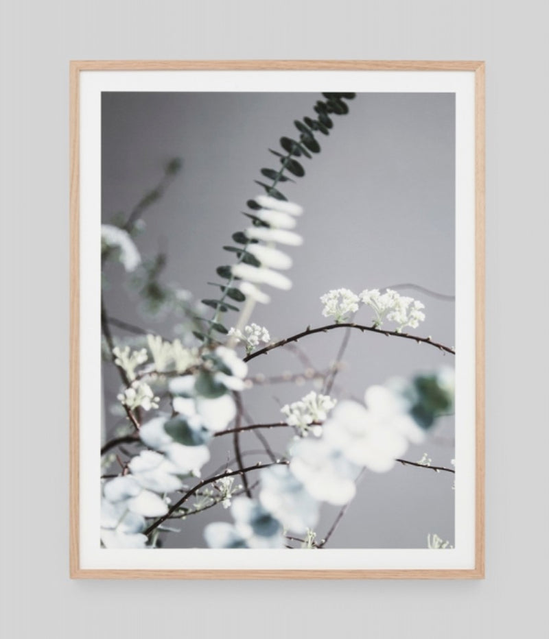 Native Eucalypt Bouquet | Framed Art