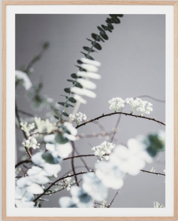 Native Eucalypt Bouquet | Framed Art