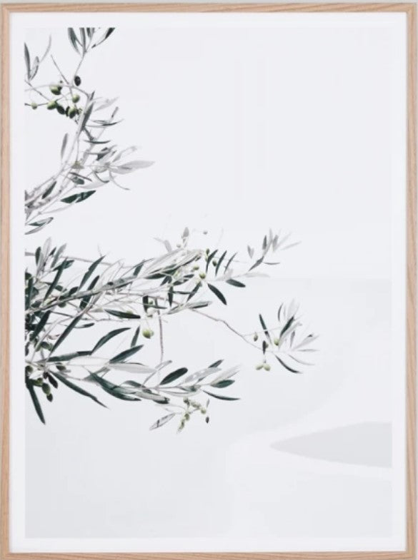 Olive Courtyard | Framed Art