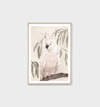 Painterly Cockatoo Blush | Framed Print