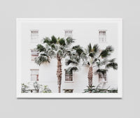 Palm Resort | Framed Print