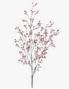 Babys Breath Spray | Pink
