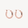 Chia Hoop Earring | Rose Gold