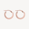 Chia Hoop Earring | Rose Gold