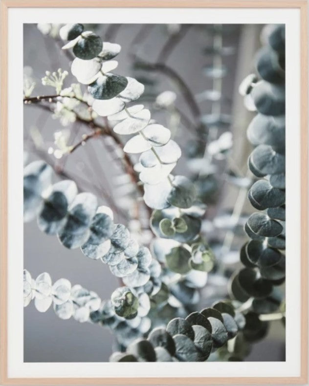 Native Eucalypt Bouquet | Framed Art