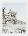 Tea Tree Bay | Framed Print | Oak Frame | 65x80cm