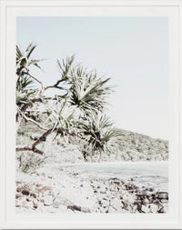 Tea Tree Bay | Framed Print | Oak Frame | 65x80cm