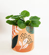 Esme Planter | Pink + Green | Assorted Sizes
