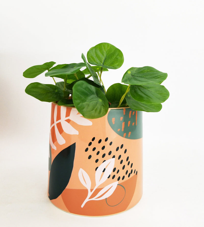 Esme Planter | Pink + Green | Assorted Sizes