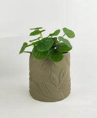 Caprice Foliage Planter | Sage | Med 14cm