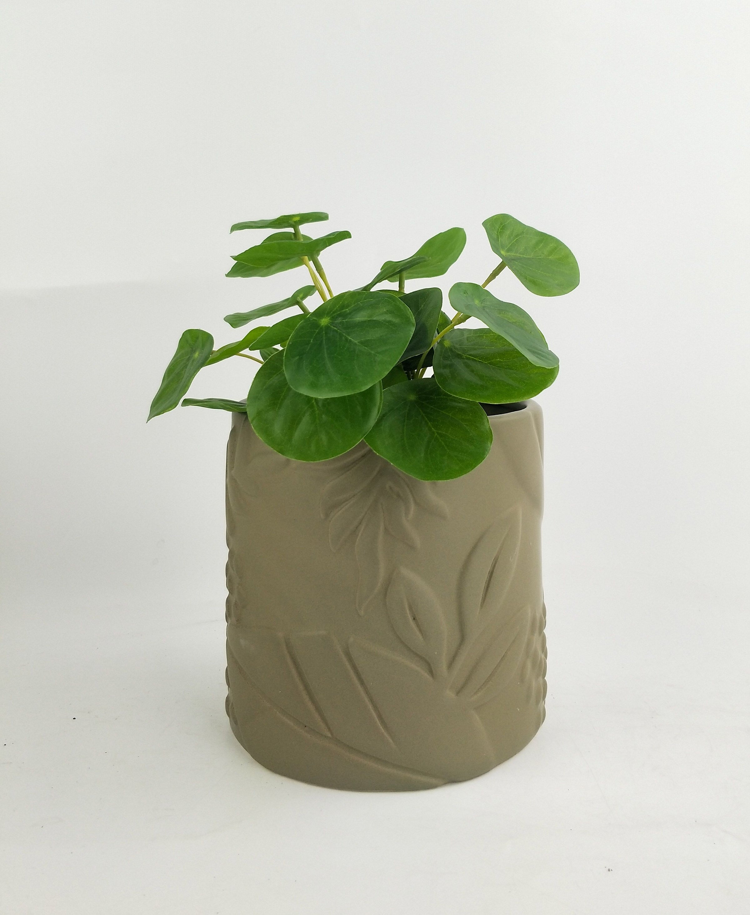 Caprice Foliage Planter | Sage | Med 14cm