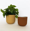 Brooklyn Ribbed Pot Planter