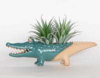 Quirky Croc Planter Blue & Sand