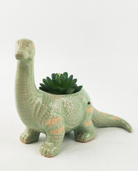 Dinosaur Planter | Green | Assorted Designs