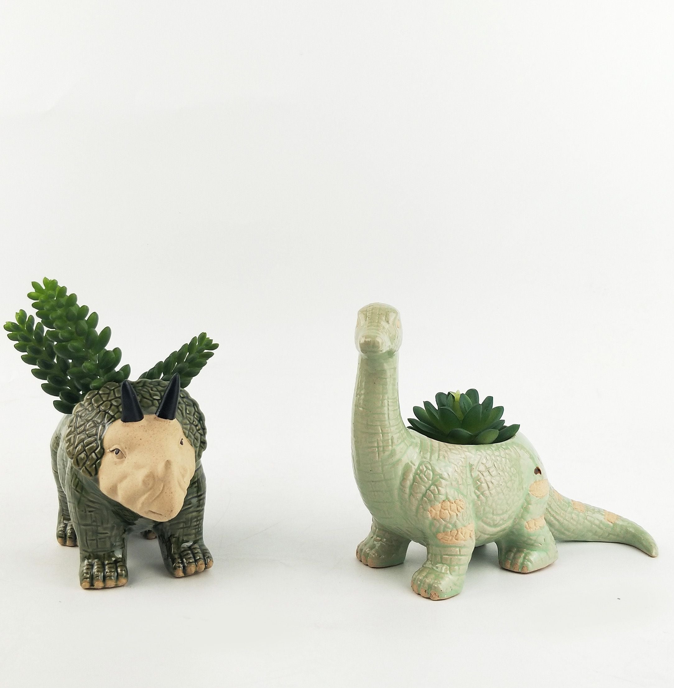 Dinosaur Planter | Green | Assorted Designs