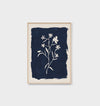 Wildflower Study Indigo | Framed Print