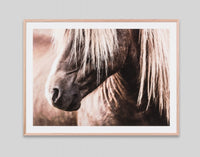 Wandering Pony | Framed Print