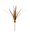 Stake Yucca Rust